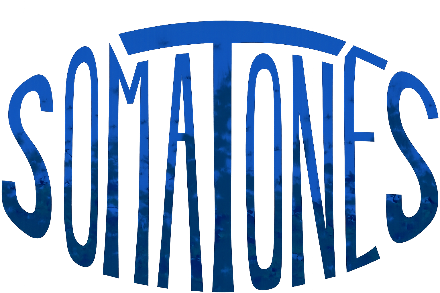 Somatones Logo